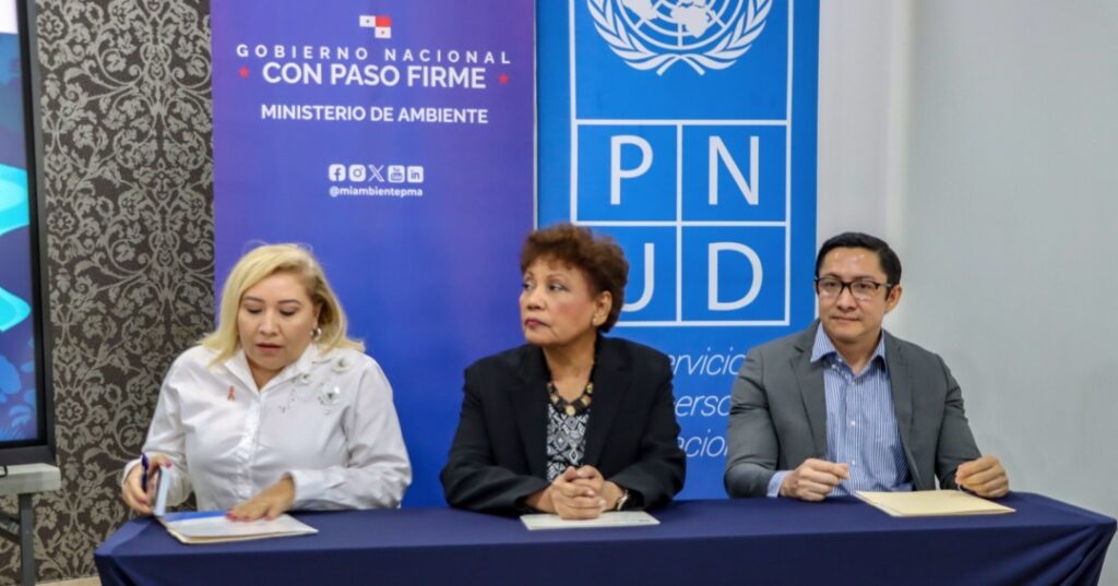 promoción del enfoque de género