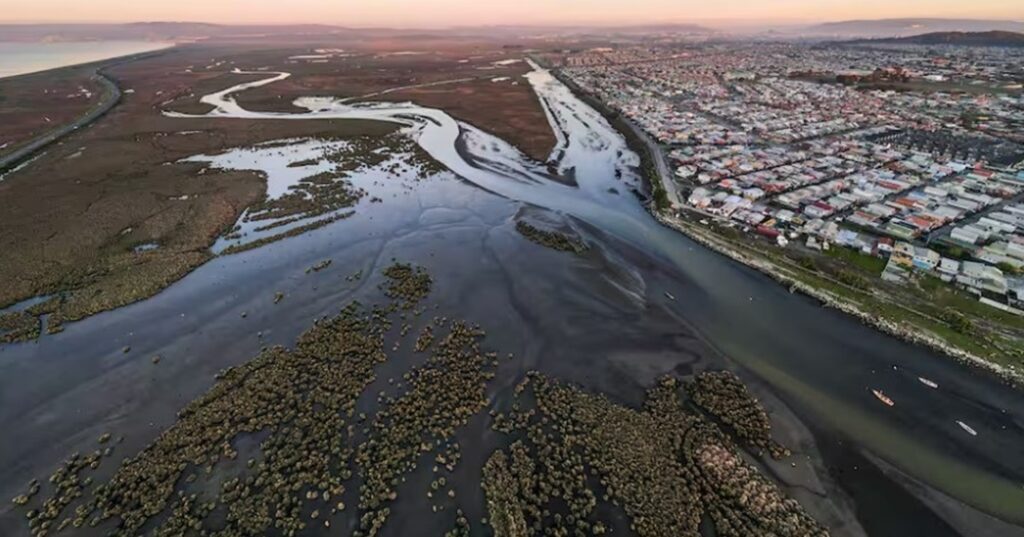 protección de aves migratorias