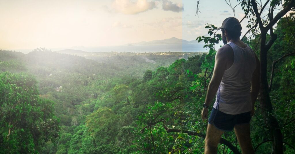 Absorción de carbono