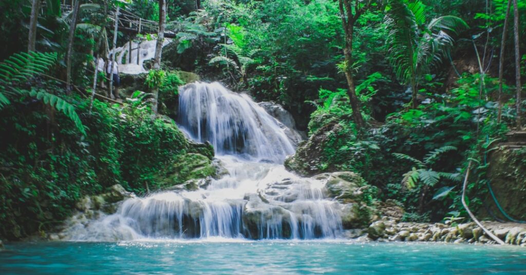 Absorción de carbono