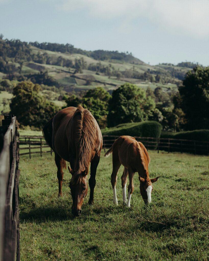 Ciudades resilientes en Chiriquí