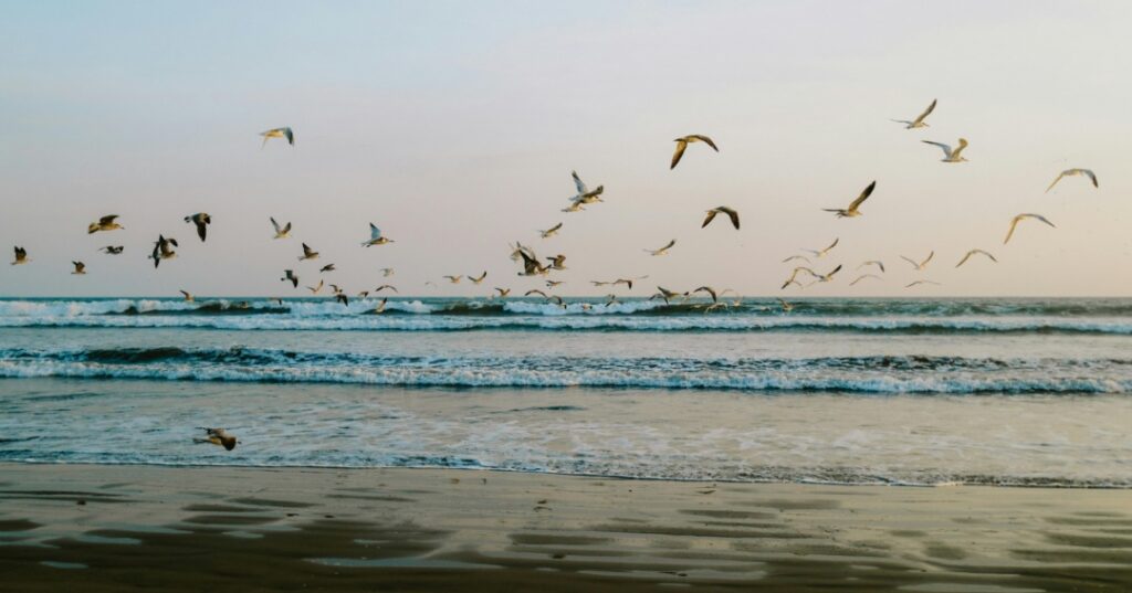 Ciudades resilientes en Chiriquí