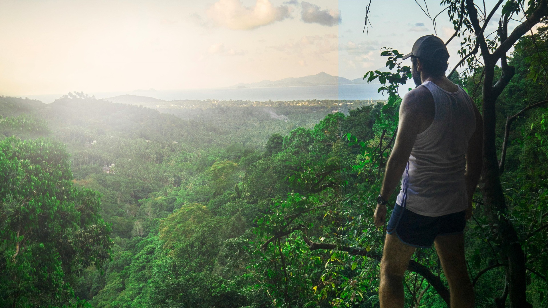 Absorción de carbono