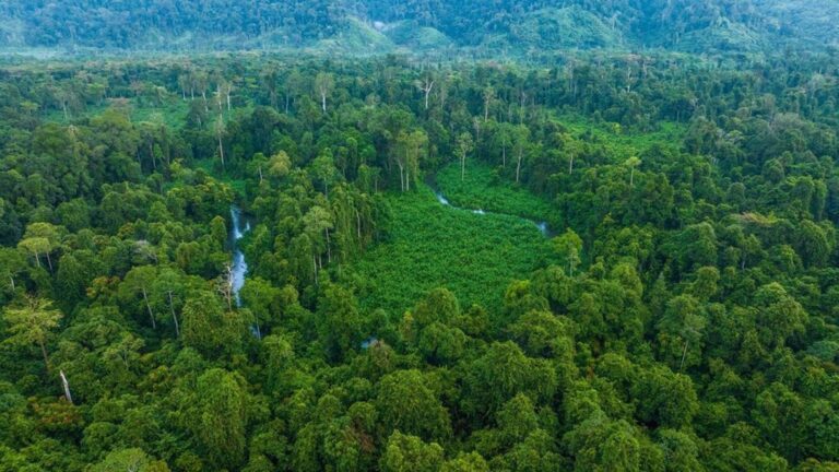 Global Conservation