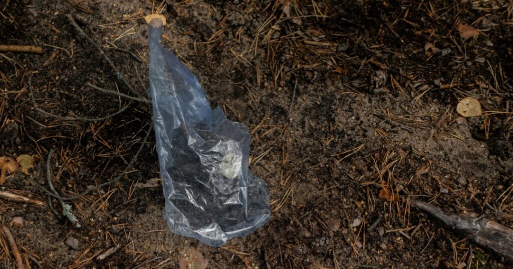 Historia del plástico