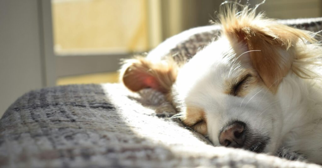 Mecanismo de la felicidad