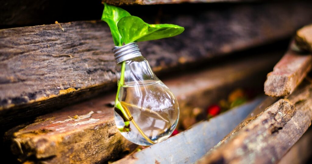 Países con más empleos verdes