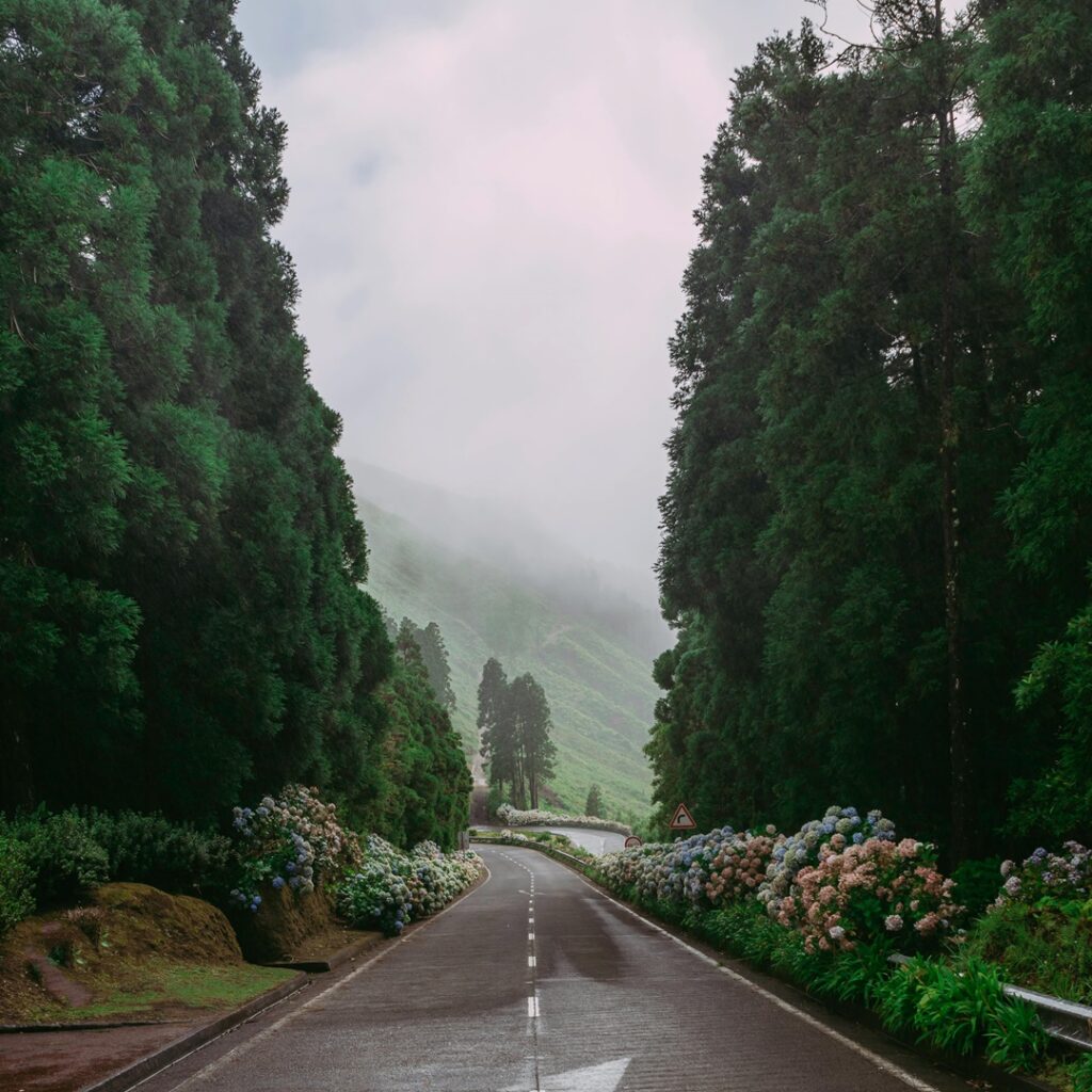 Red de áreas marinas de Las Azores