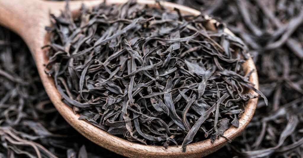 Valor nutricional de las algas