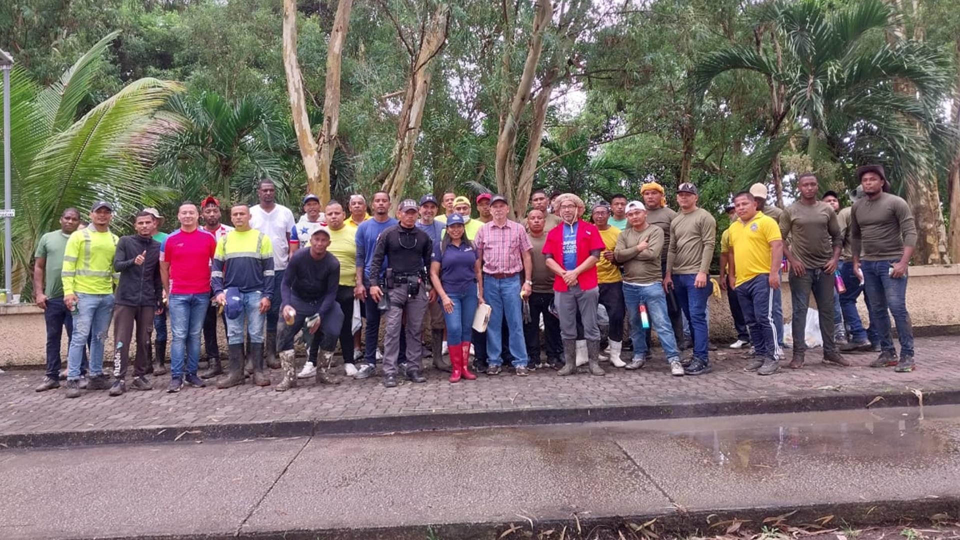 Voluntarios ambientales