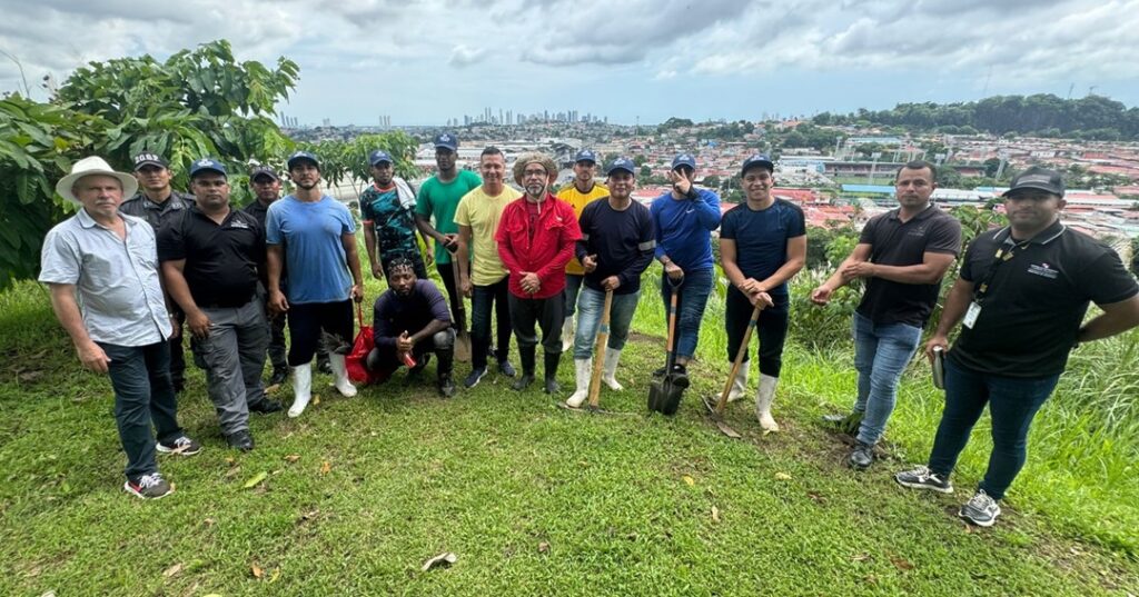 Voluntarios ambientales
