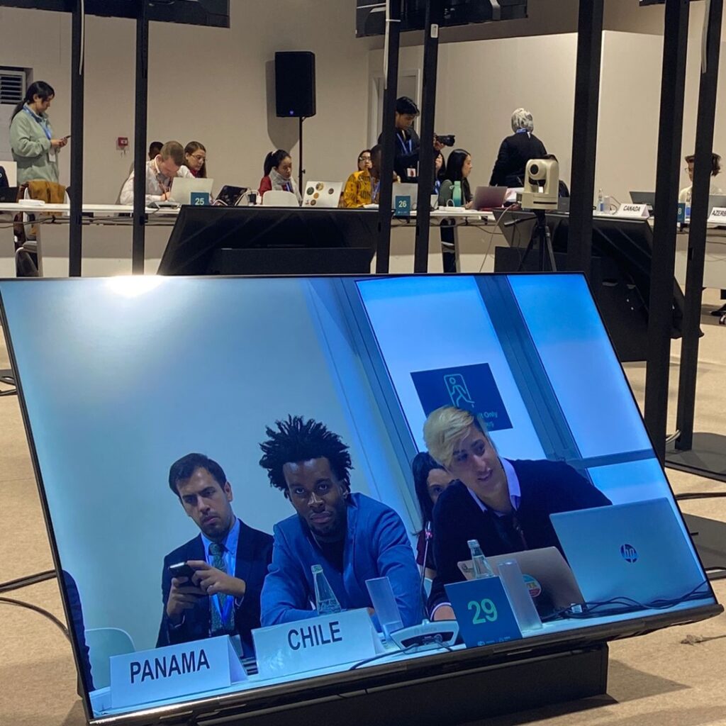 Youth-led Climate Forum