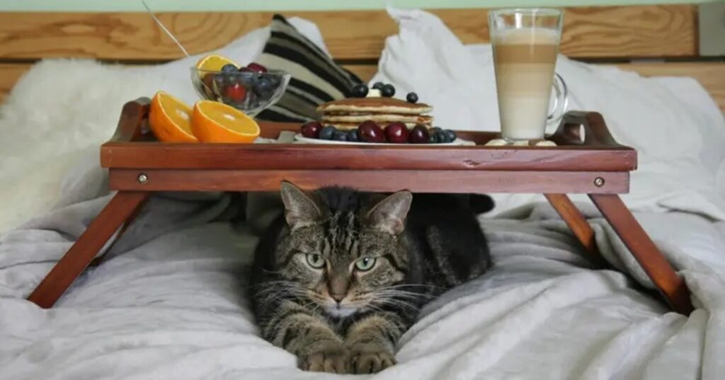 Cena de año nuevo segura