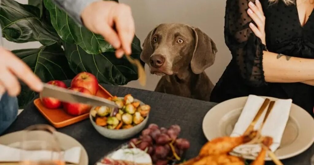 Cena de año nuevo segura