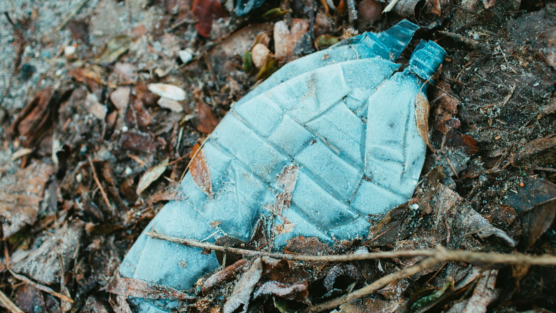 Contaminación por plásticos