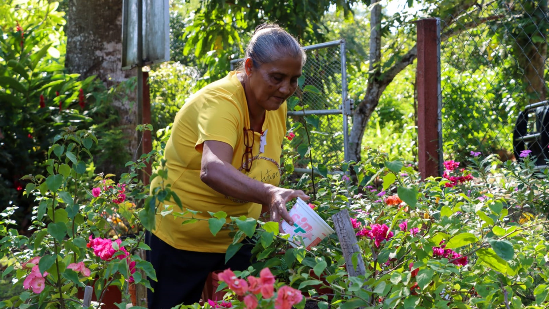 empleos verdes en Darién