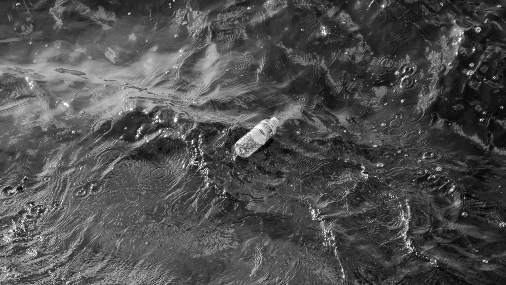 Desechos plásticos en el norte del Pacífico