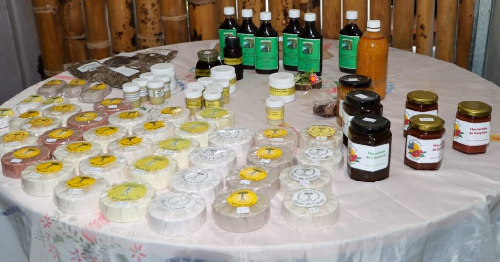 empleos verdes en Darién