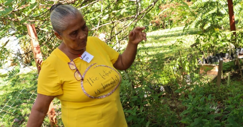 empleos verdes en Darién