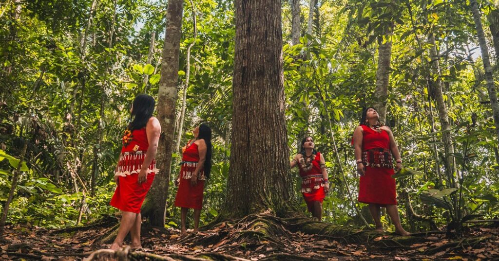 Indigenous Peoples Partnering for Climate