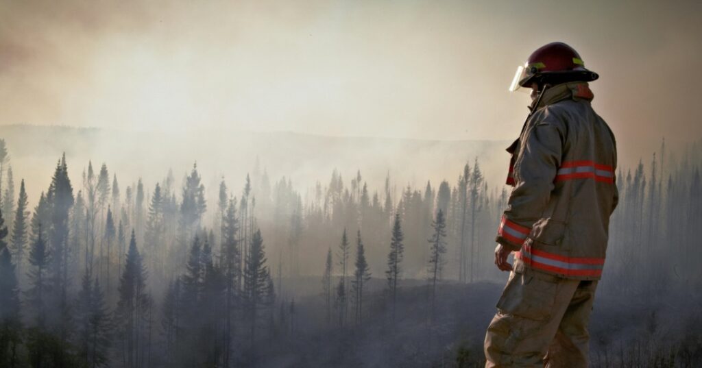 Violencia y cuidado del ambiente