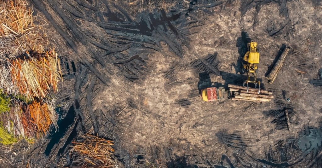 Violencia y cuidado del ambiente