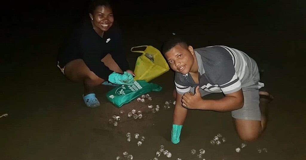 tortuga marina en Jaqué