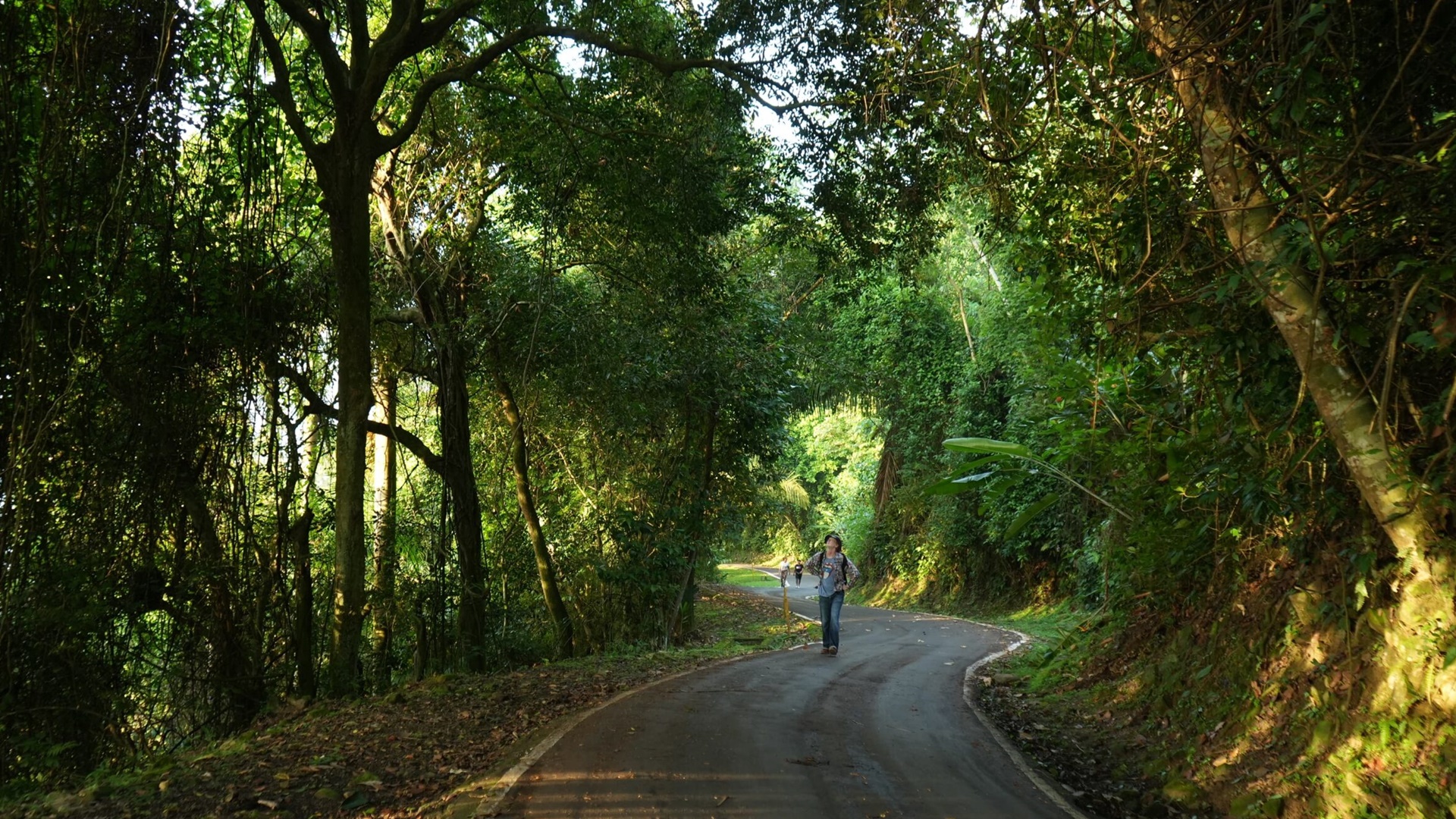 Visitas a las áreas protegidas