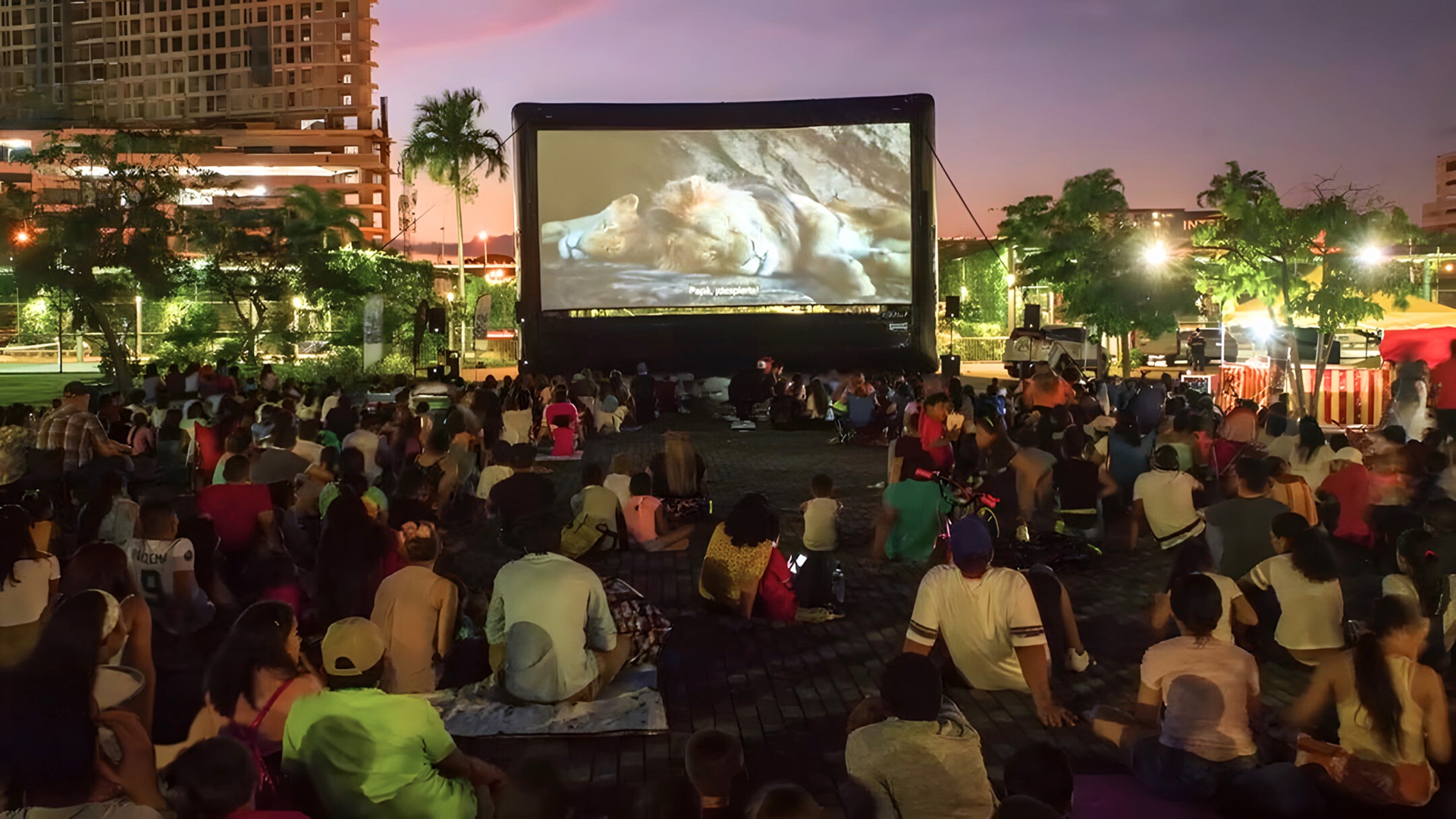 Cine Picnic