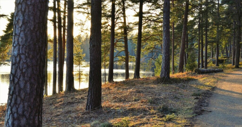 Destinos turísticos con movilidad sostenible