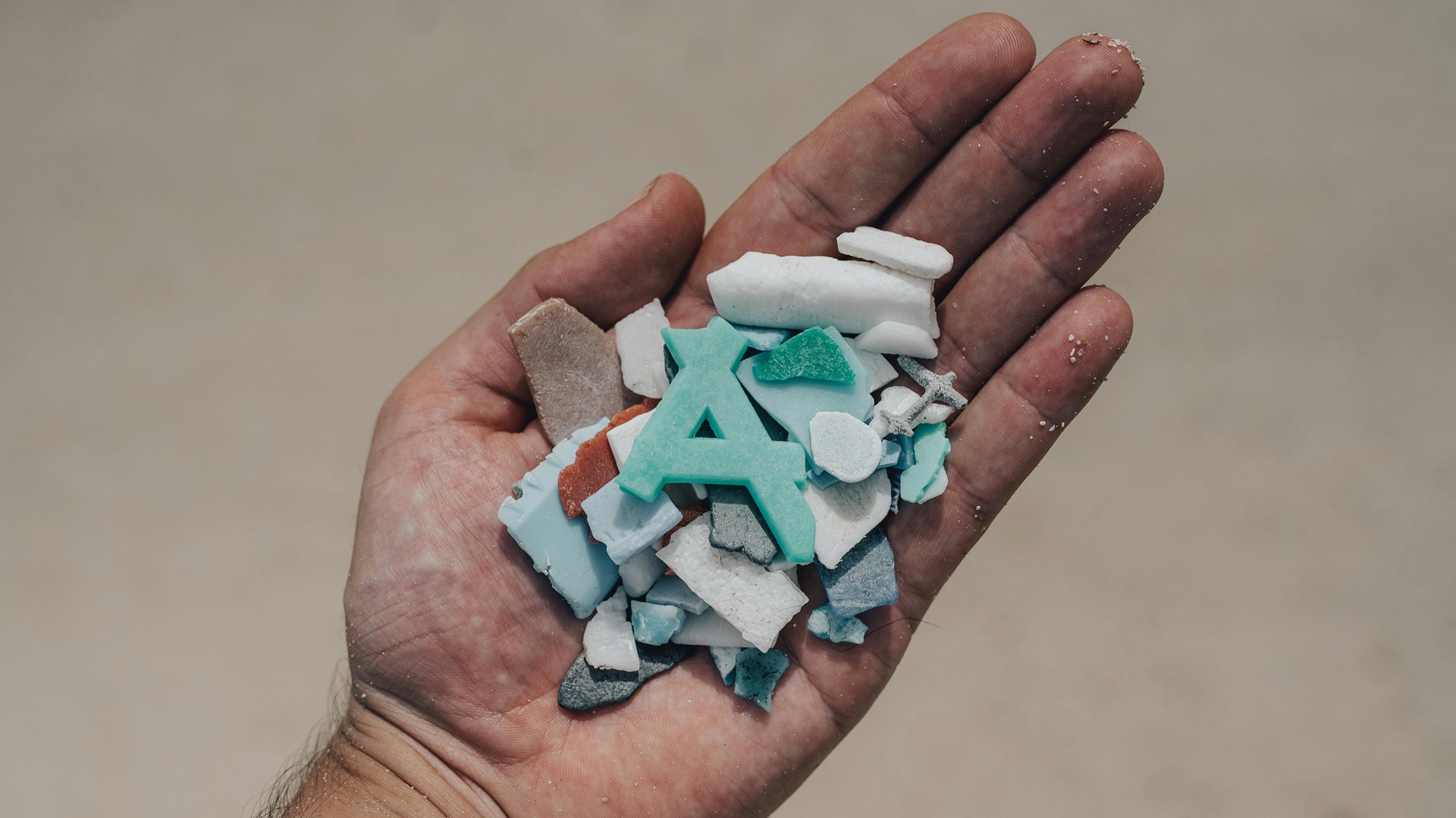 Hueso de calamar y algodón