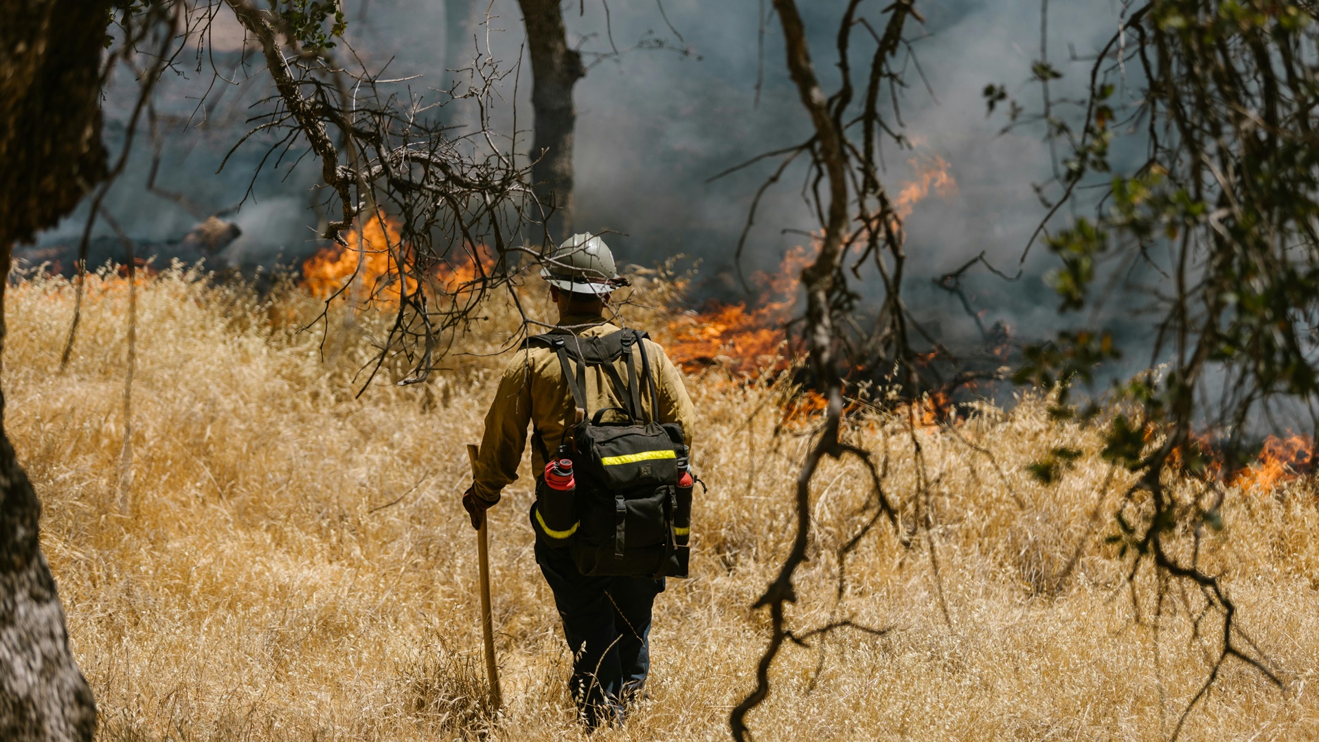 incendios forestales