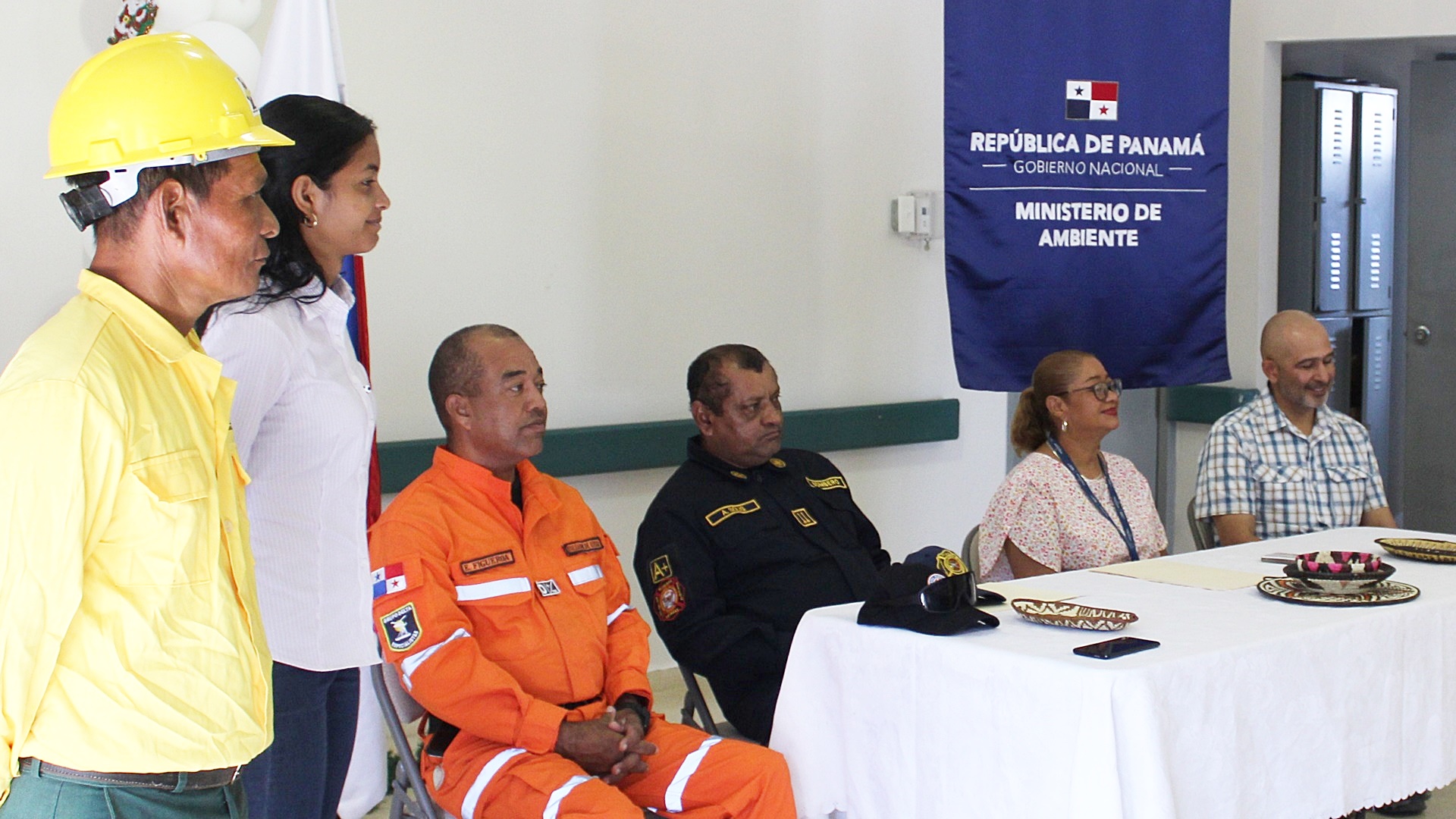 Incendios forestales en David