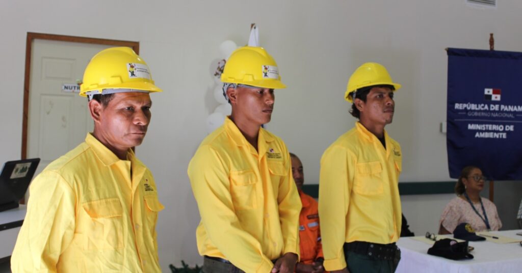 Incendios forestales en David