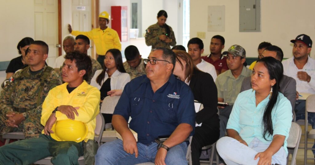 Incendios forestales en David