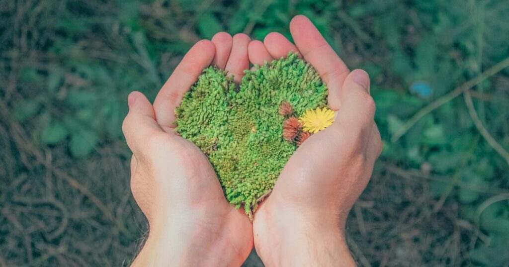 Innovación y sostenibilidad