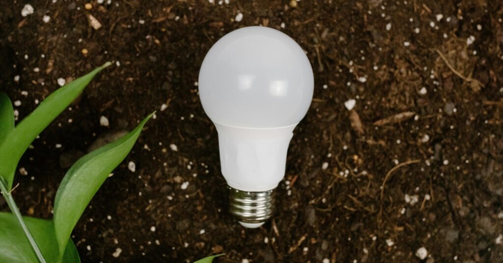 Innovación y sostenibilidad