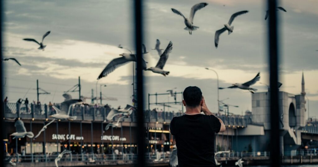 Premios de fotografía Audubon