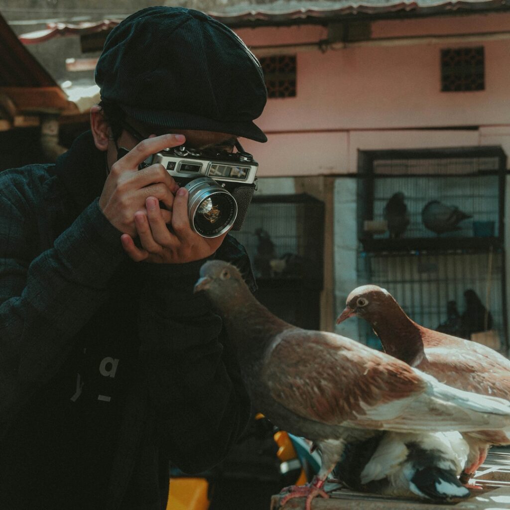 Premios de fotografía Audubon