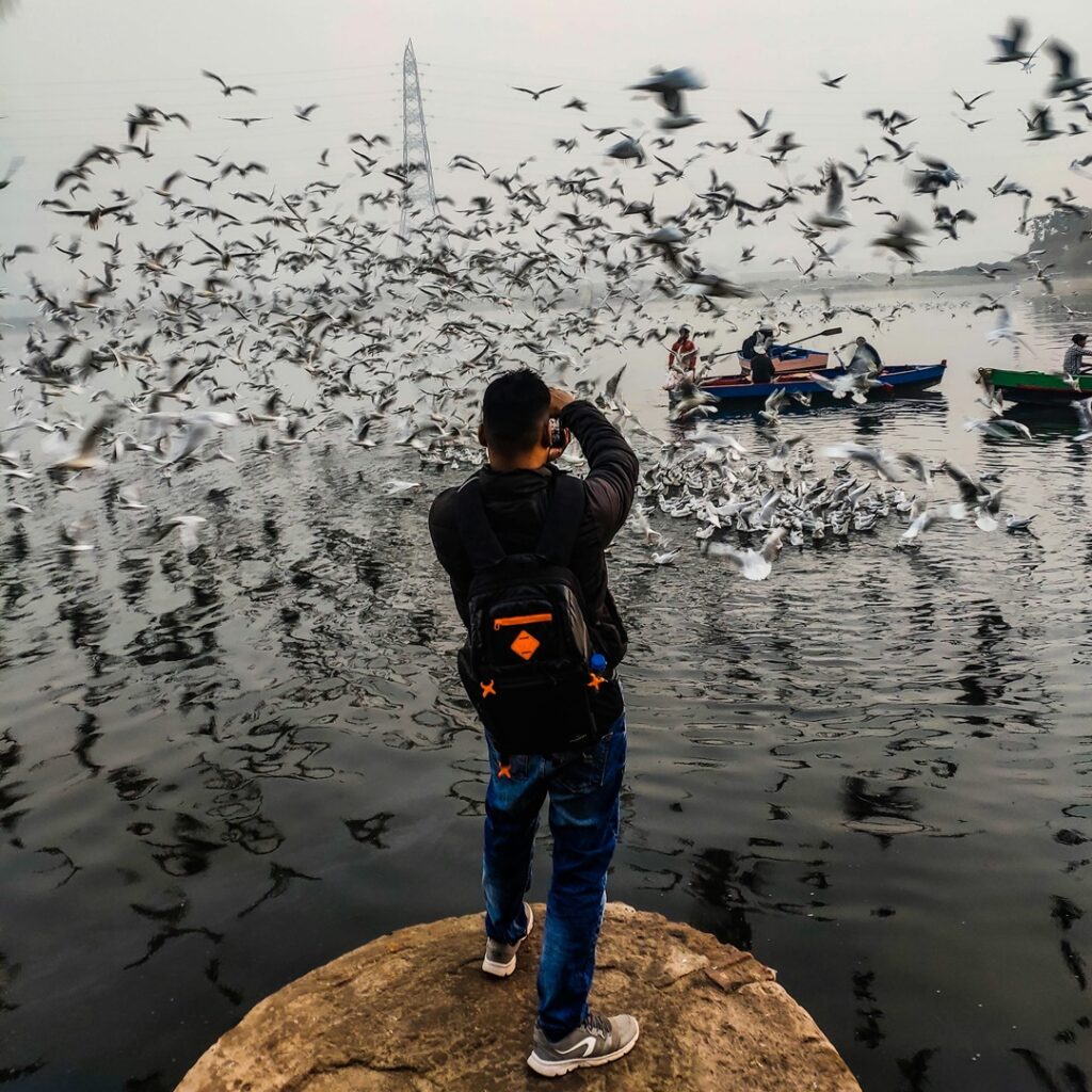 Premios de fotografía Audubon