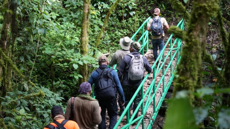 Sendero Los Quetzales