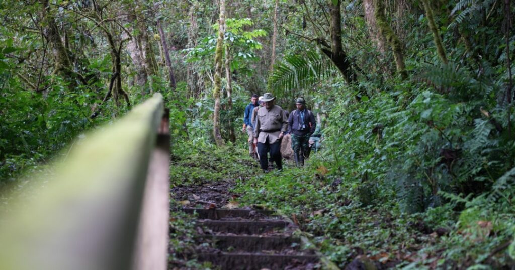 Sendero Los Quetzales