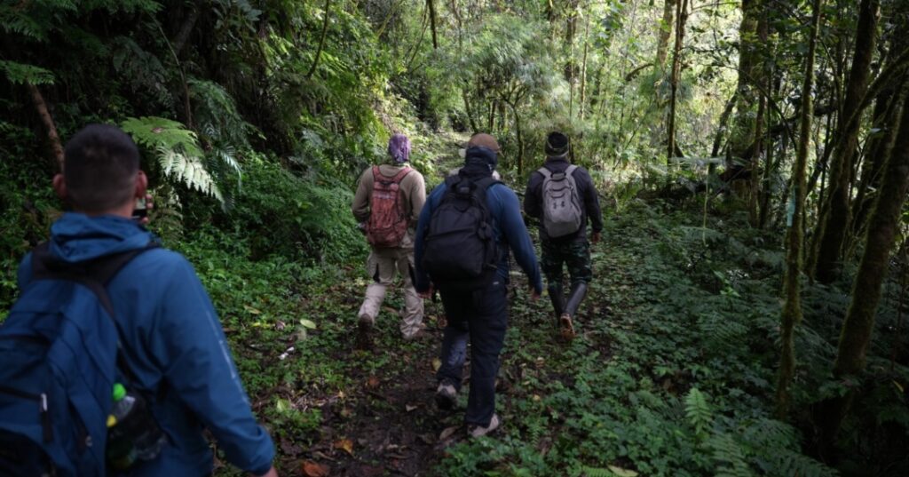 Sendero Los Quetzales