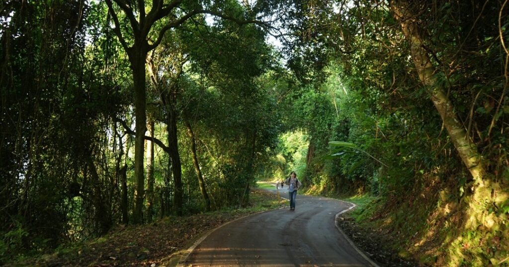 Visitas a las áreas protegidas