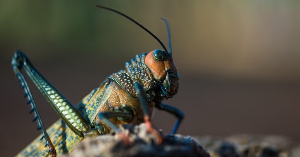 Visitas a las áreas protegidas