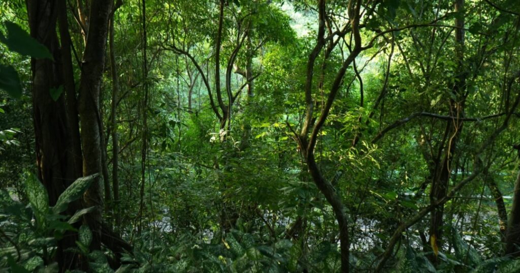 Visitas a las áreas protegidas