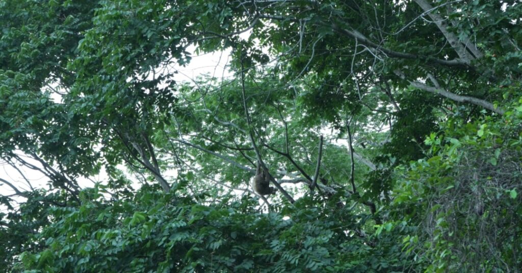 Visitas a las áreas protegidas