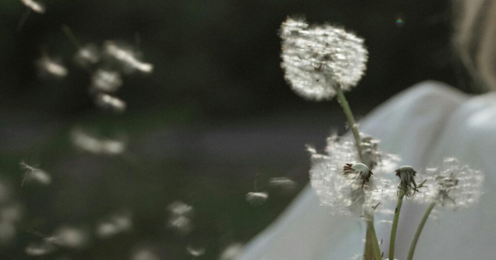 El poder de las flores