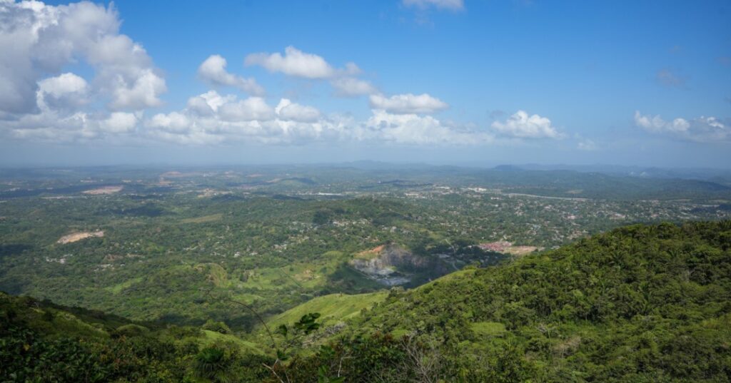 Fundación Happy Green