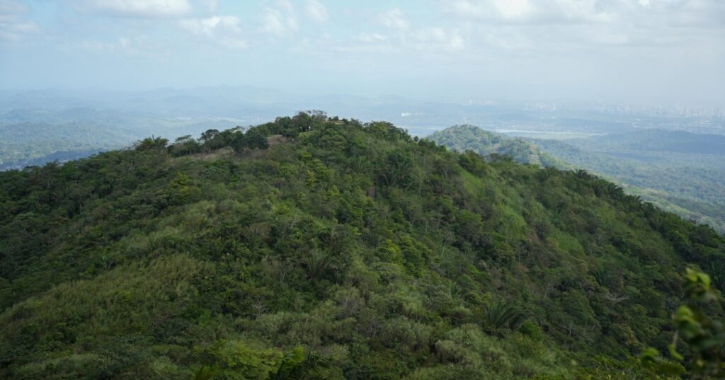 Fundación Happy Green